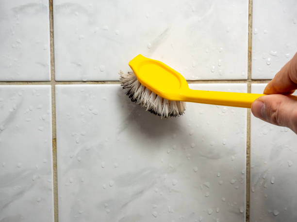 Best Residential Mold Removal  in Walled Lake, MI