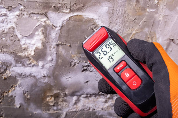Best Certified Mold Removal  in Walled Lake, MI