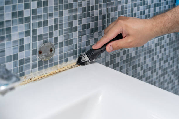 Mold Testing and Removal in Walled Lake, MI